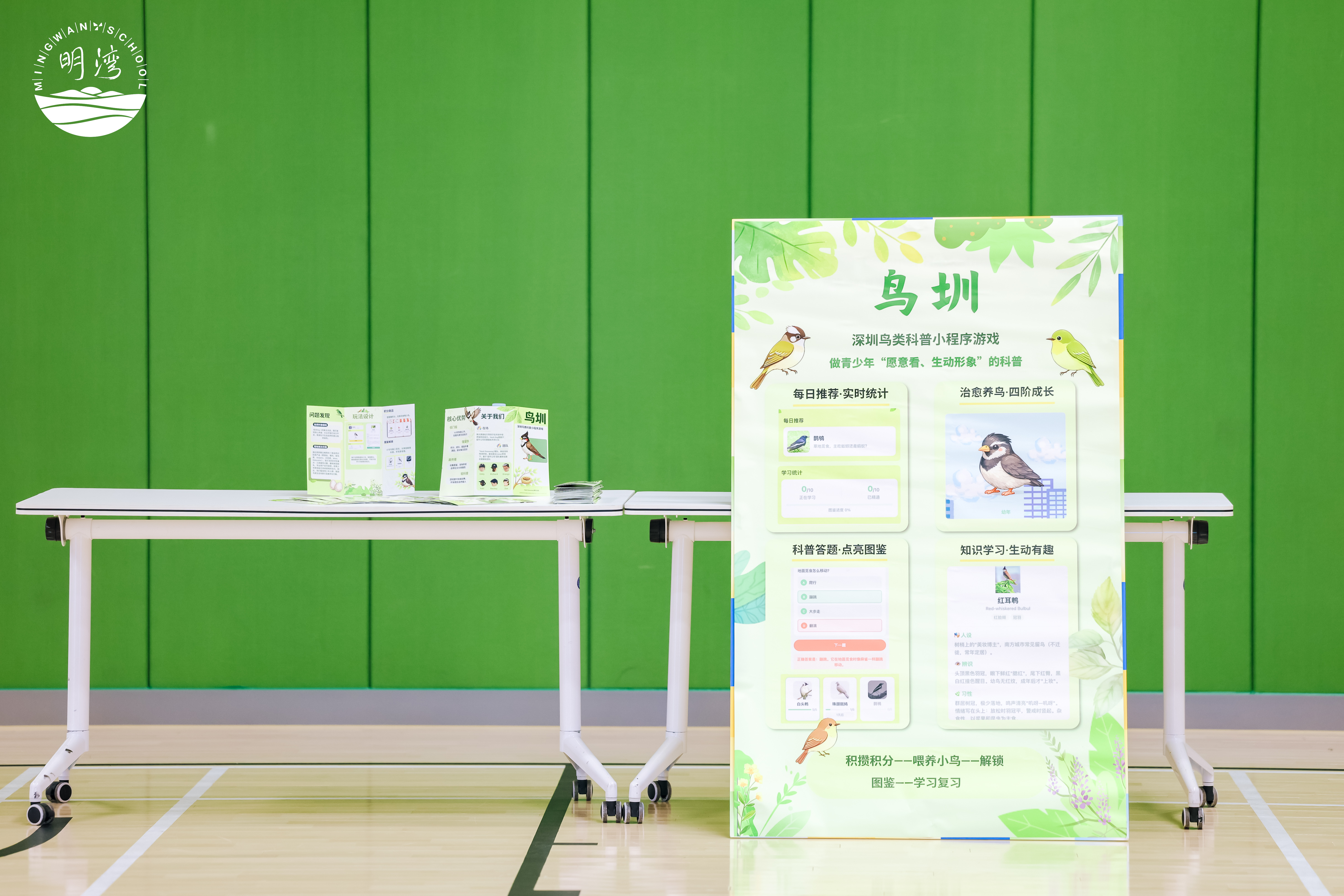 「鸟圳」展示物：海报、三折页和知识卡